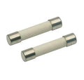 (2 Pack) EXP20A 20A Line Fuse (Slow Blow)